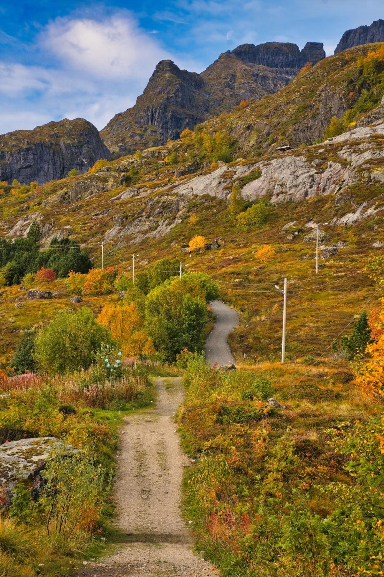 Lofoten Planet Studio Sørvågen Zewnętrze zdjęcie
